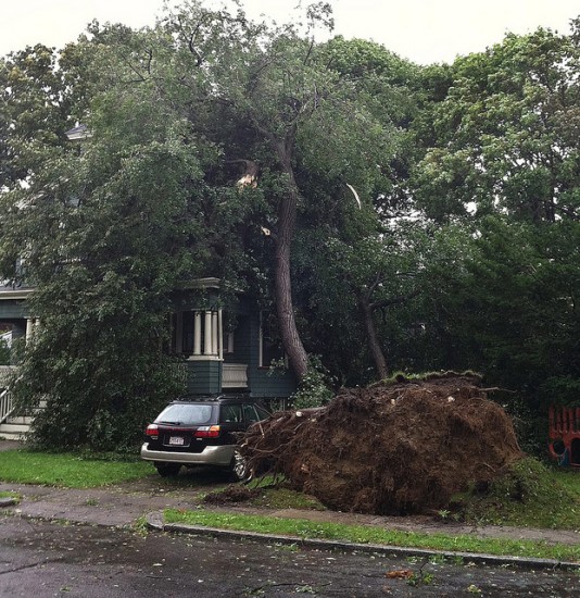Hurricane Irene
