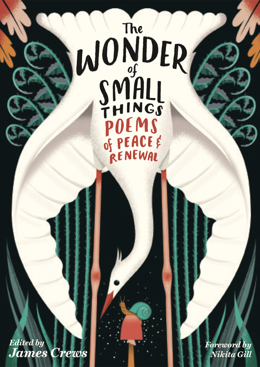 Book cover for the Wonder of Small Thigns edited by James Crews with a bird, a snail, and a mushroom in an illustration